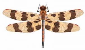 Halloween Pennant